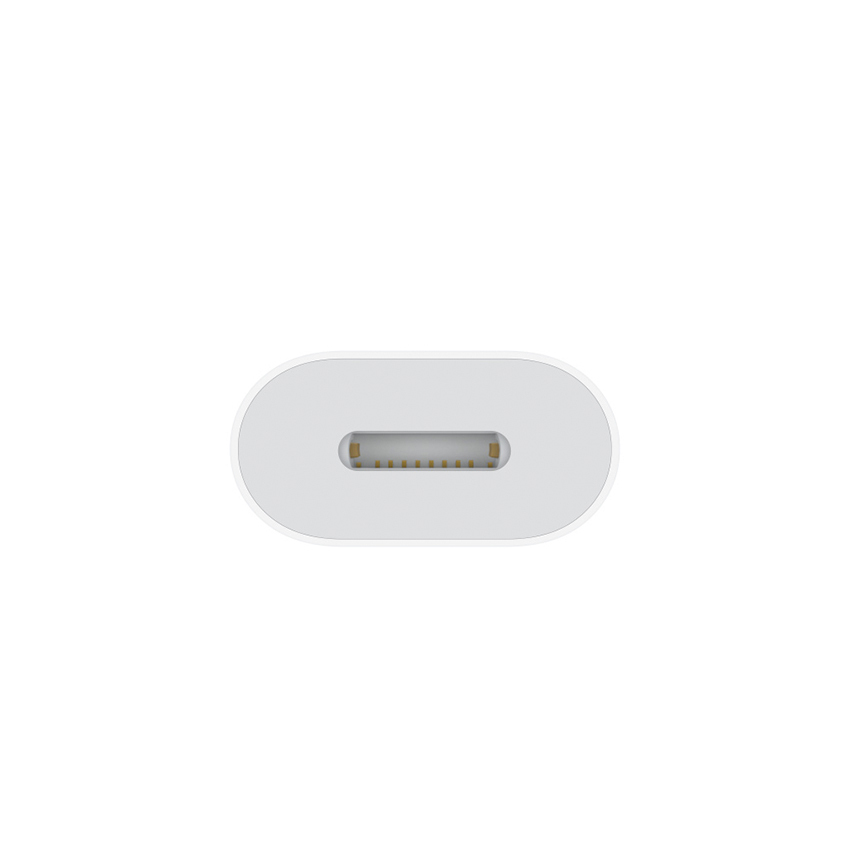 Apple USB C to Lightning Adapter CORTLAND