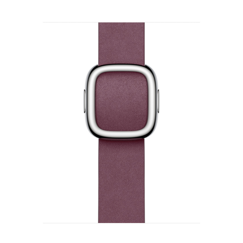 Apple 41mm Mulberry Modern Buckle - Large