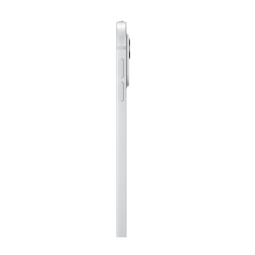 Apple iPad Pro 11-inch WIFi 256GB with Standard glass - Silver
