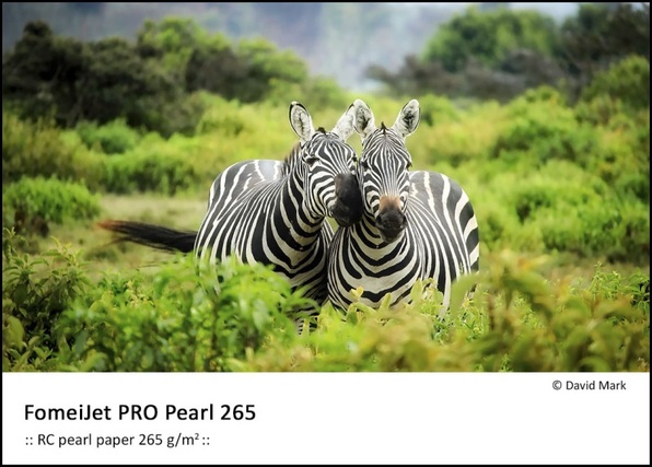 FOMEI PRO Pearl A4/5 265g/m