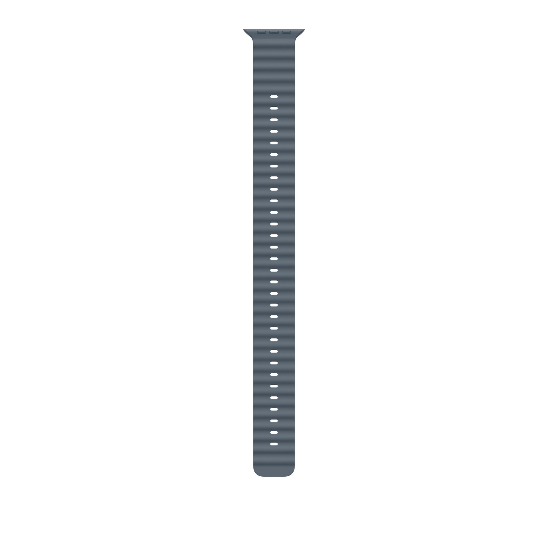 Zdjęcie do “Apple 49mm Anchor Blue Ocean Band Extension - Natural Titanium Finish”.