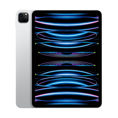 iPad Pro 11''