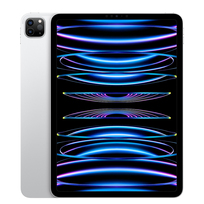 Apple iPad Pro 11'' 256GB Wi-Fi + Cellular (srebrny) - nowy model