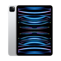Apple iPad Pro 11'' 256GB Wi-Fi + Cellular (srebrny) - nowy model