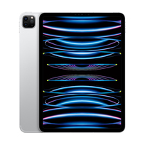 Apple iPad Pro 11'' 512GB Wi-Fi + Cellular (srebrny) - nowy model