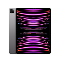 Apple iPad Pro 12.9'' 256GB Wi-Fi + Cellular (gwiezdna szarość) - nowy model