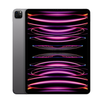 Apple iPad Pro 12.9'' 256GB Wi-Fi + Cellular (gwiezdna szarość) - nowy model