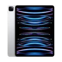 Apple iPad Pro 12.9'' 2TB Wi-Fi + Cellular (srebrny) - nowy model
