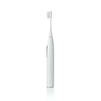 oClean X Pro Elite szczoteczka z etui i 6 główkami (szary)