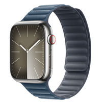 Zdjęcie do “Apple 45mm Pacific Blue Magnetic Link - S/M”.