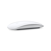 Apple Magic Mouse 2 mysz bezprzewodowa (srebrny) - outlet