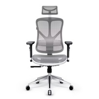 Zdjęcie do “Diablo Chairs V-Basic biało-szary - fotel ergonomiczny”.
