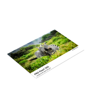 FOMEI PRO Pearl 24inx30,5m 265g/m