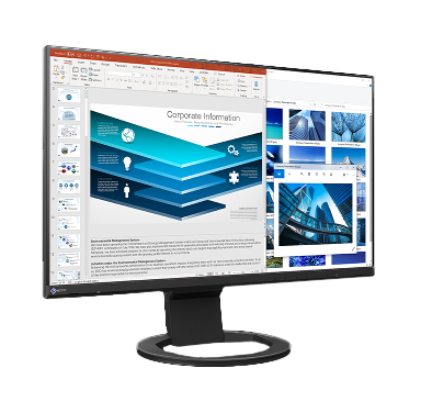 eizo